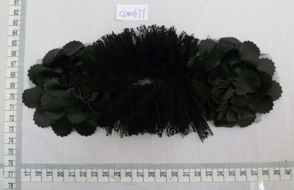 CLM0679