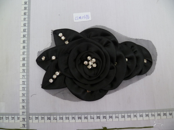 CLM0696