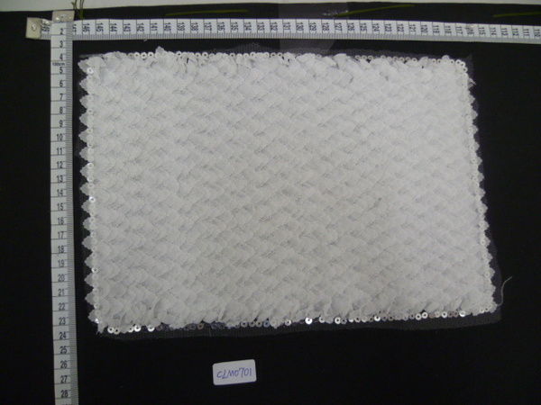 CLM0701