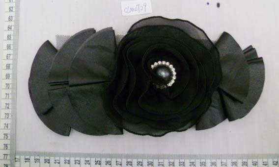 CLM0729