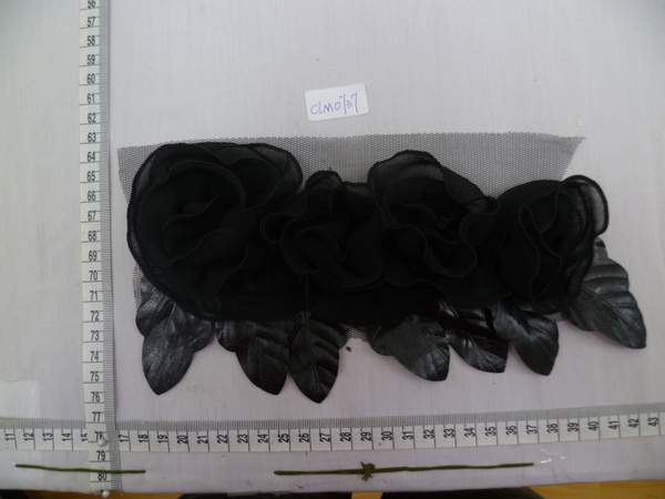 CLM0737