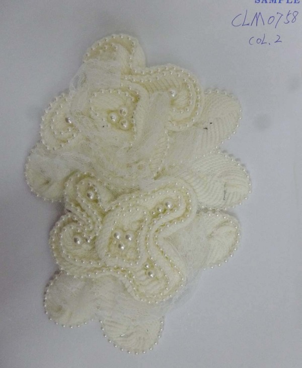 CLM0758b