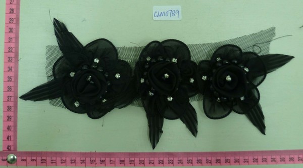 CLM0789