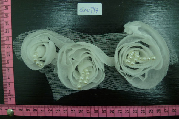 CLM0793