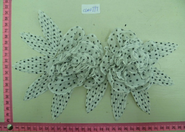 CLM0797