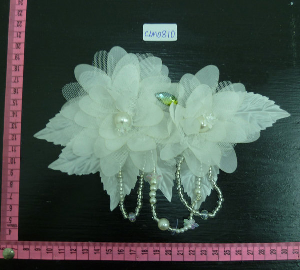 CLM0810