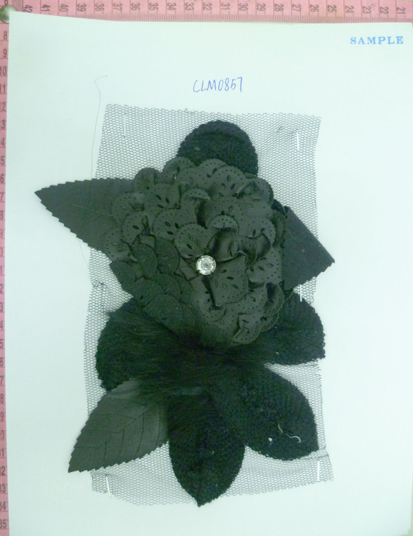 CLM0857