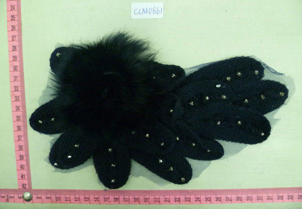 CLM0861