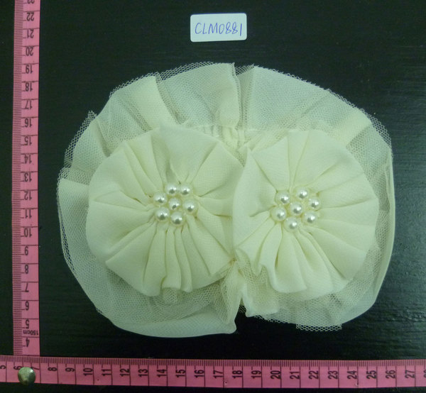 CLM0881