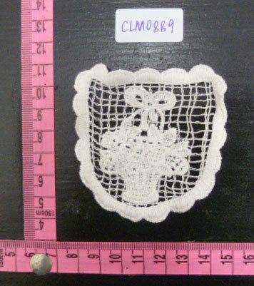 CLM0889