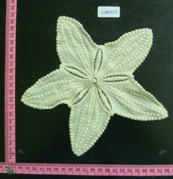 CLM0909