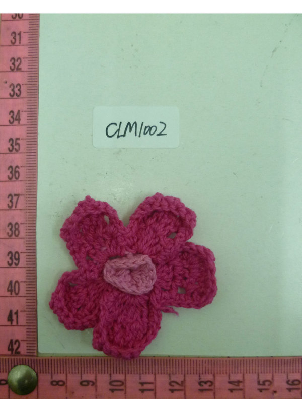 CLM1002