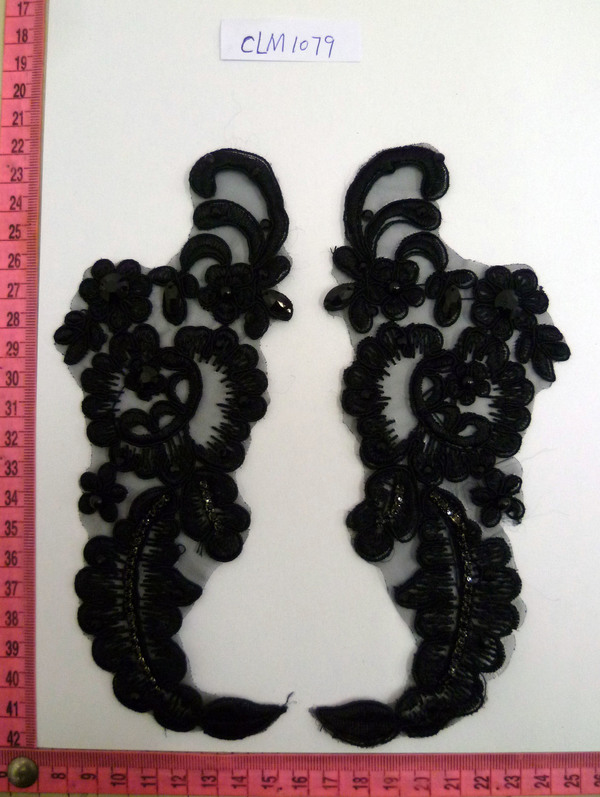 CLM1079
