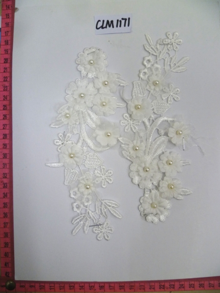 CLM1171