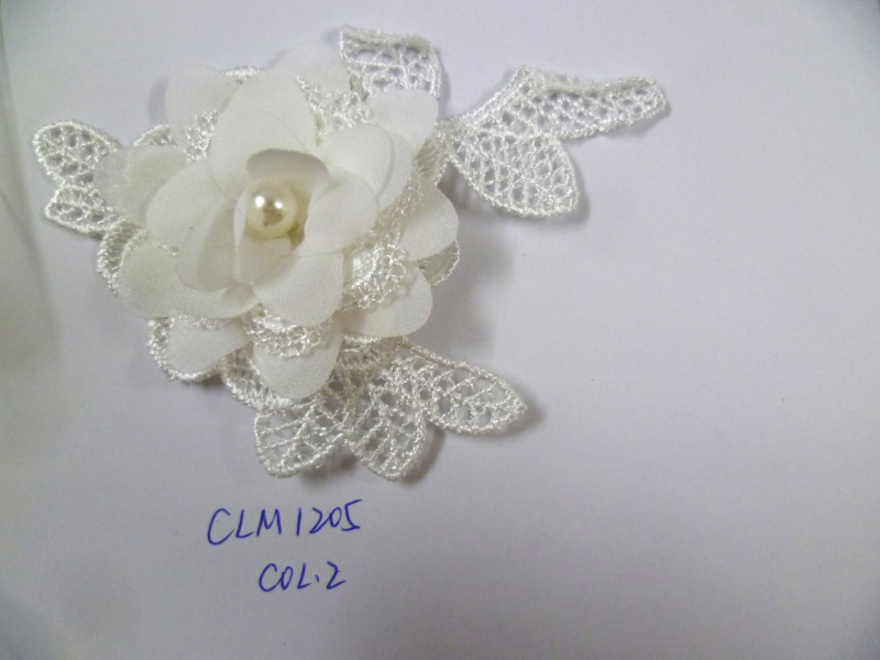 CLM1205