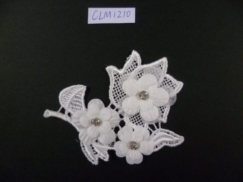 CLM1210
