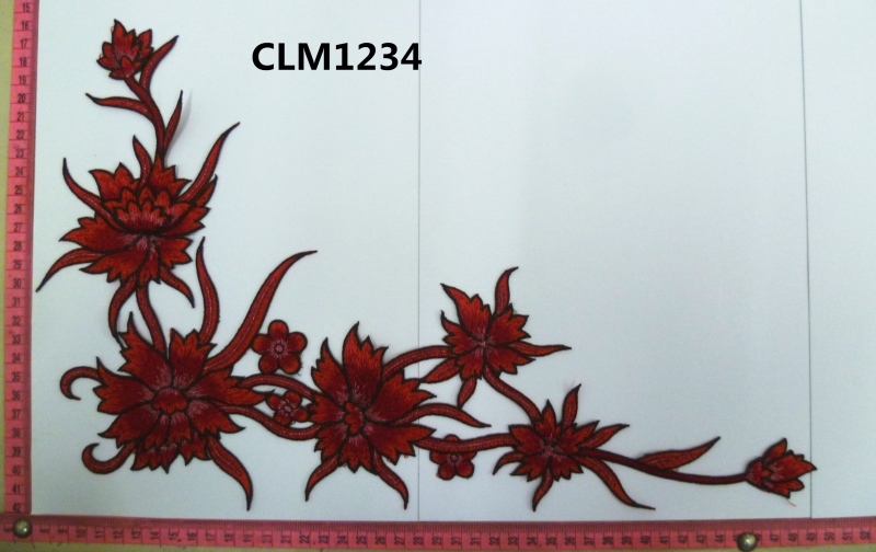 CLM1234