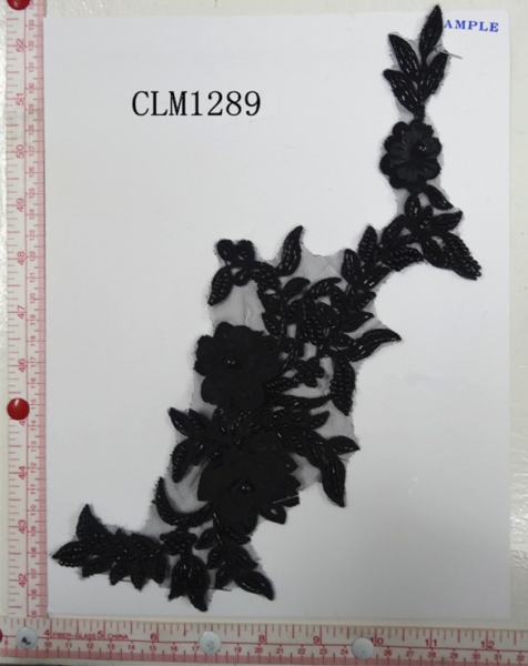 CLM1289