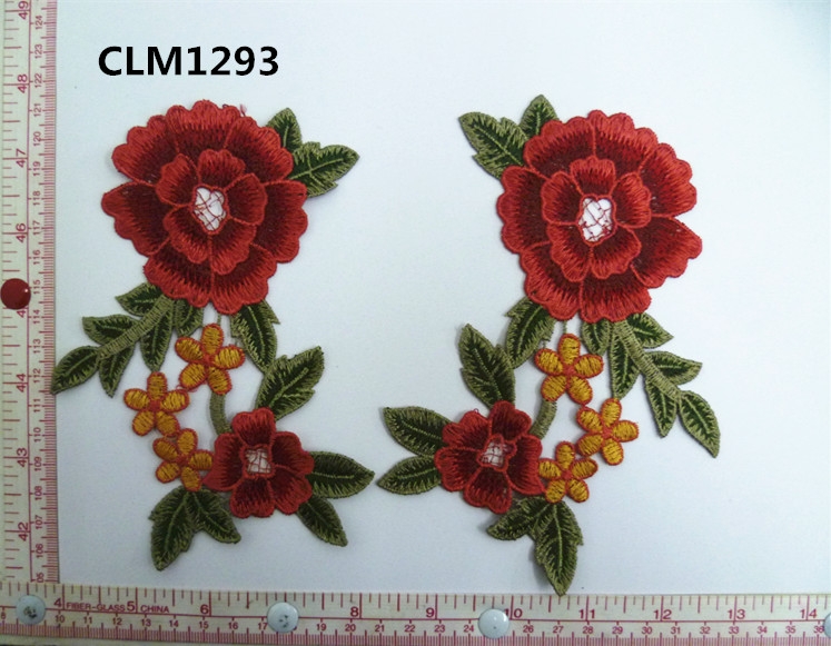 CLM1293