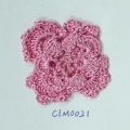 CLM0021