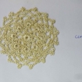 CLM0025