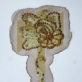 CLM0027