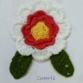 CLM0032