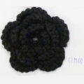 CLM0062