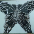 CLM0115-COL1-
