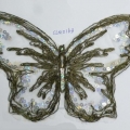 CLM0163