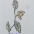 CLM0181