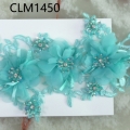 CLM1450