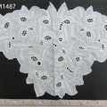 CLM1487