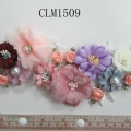 CLM1509