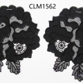 CLM1562