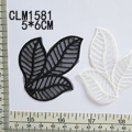 CLM1581 (2)