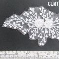 CLM1587