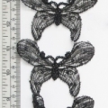 CLM1589