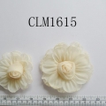 CLM1615