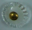 CTN0231
