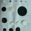 CTN0247-0256