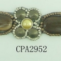 CPA2952