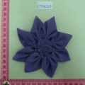 CPA4263