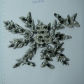 CPA4734