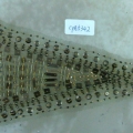 CPA5342