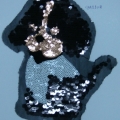 CPA5508