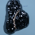 CPA5509