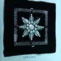 CPA5545