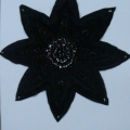 CPA5685