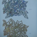 CPA5757col.5-6